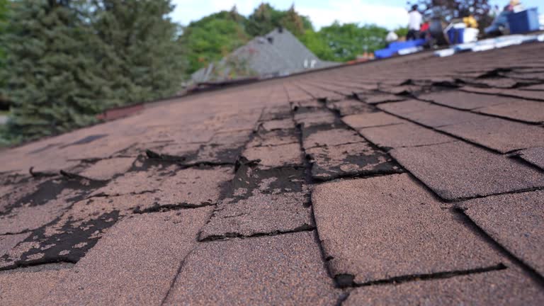 Best Roof Moss and Algae Removal  in St Albans, VT